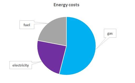 Energy costs 5 why